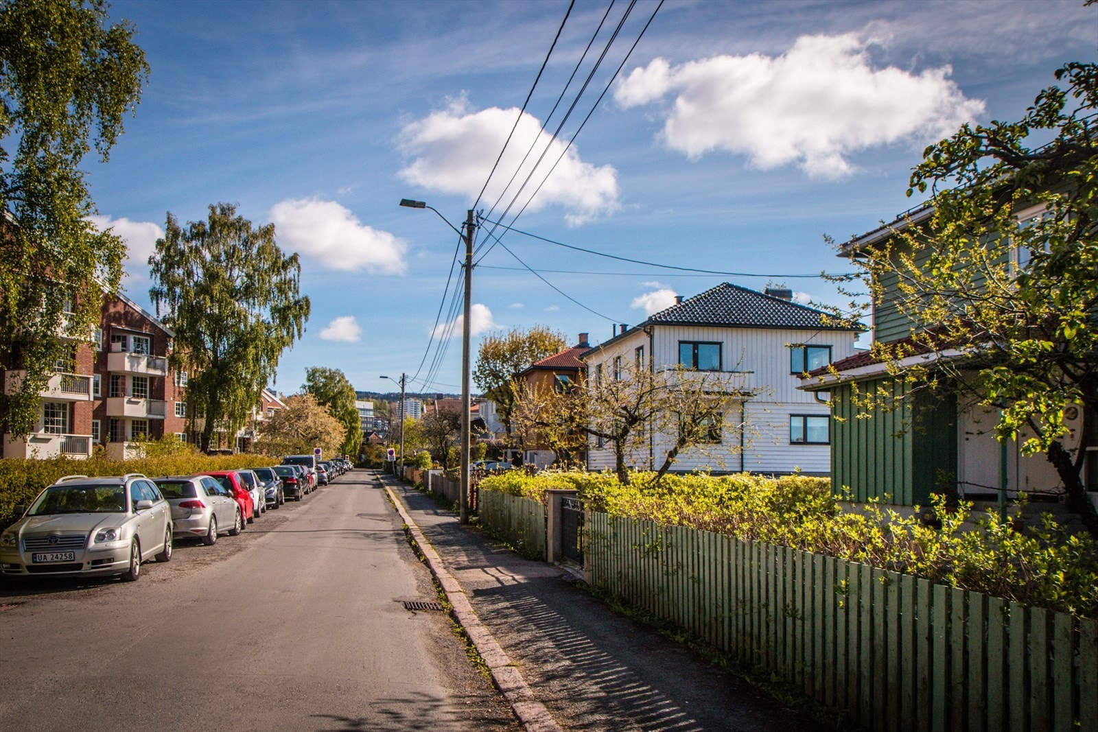 Godals vei er en lite trafikkert villavei kjent for sine mange epletrær som henger over gjerdene Galleribilde