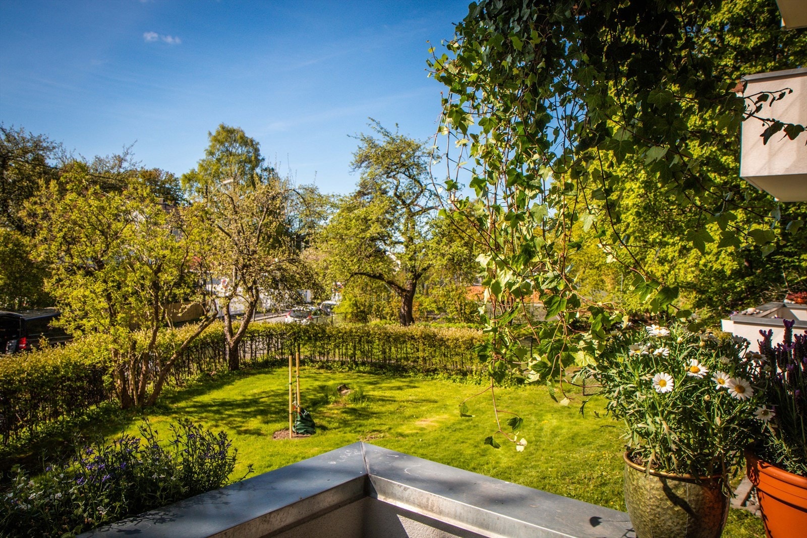 Utsikten både fra balkongene og vinduene er svært grønn og frodig. Galleribilde