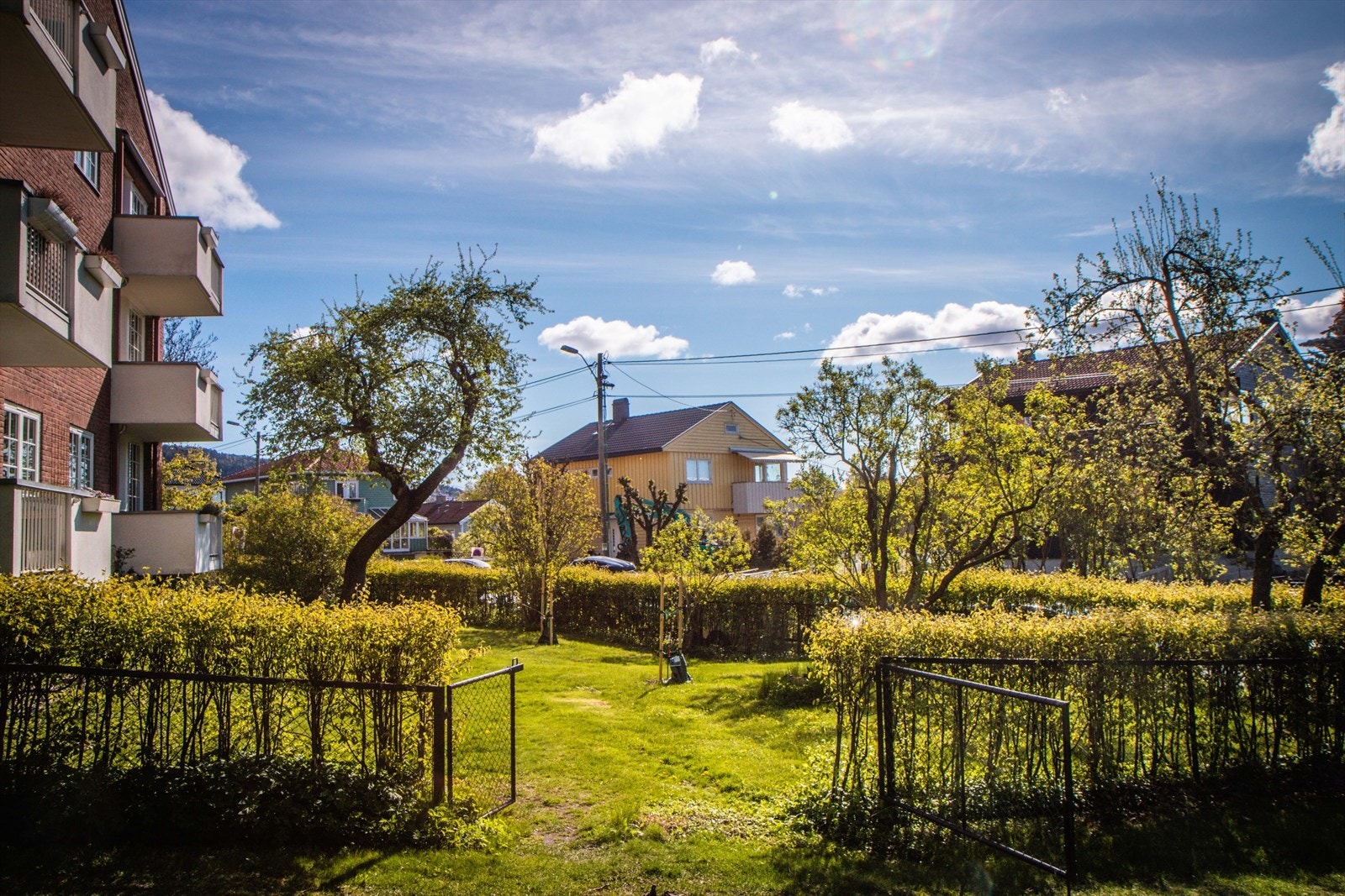 I hagen utenfor er det 100 år gamle epletrær, kirsebær, bjørnebær og rabarbra og masse fuglesang! I tillegg til velduftende og vakre blomster. Galleribilde