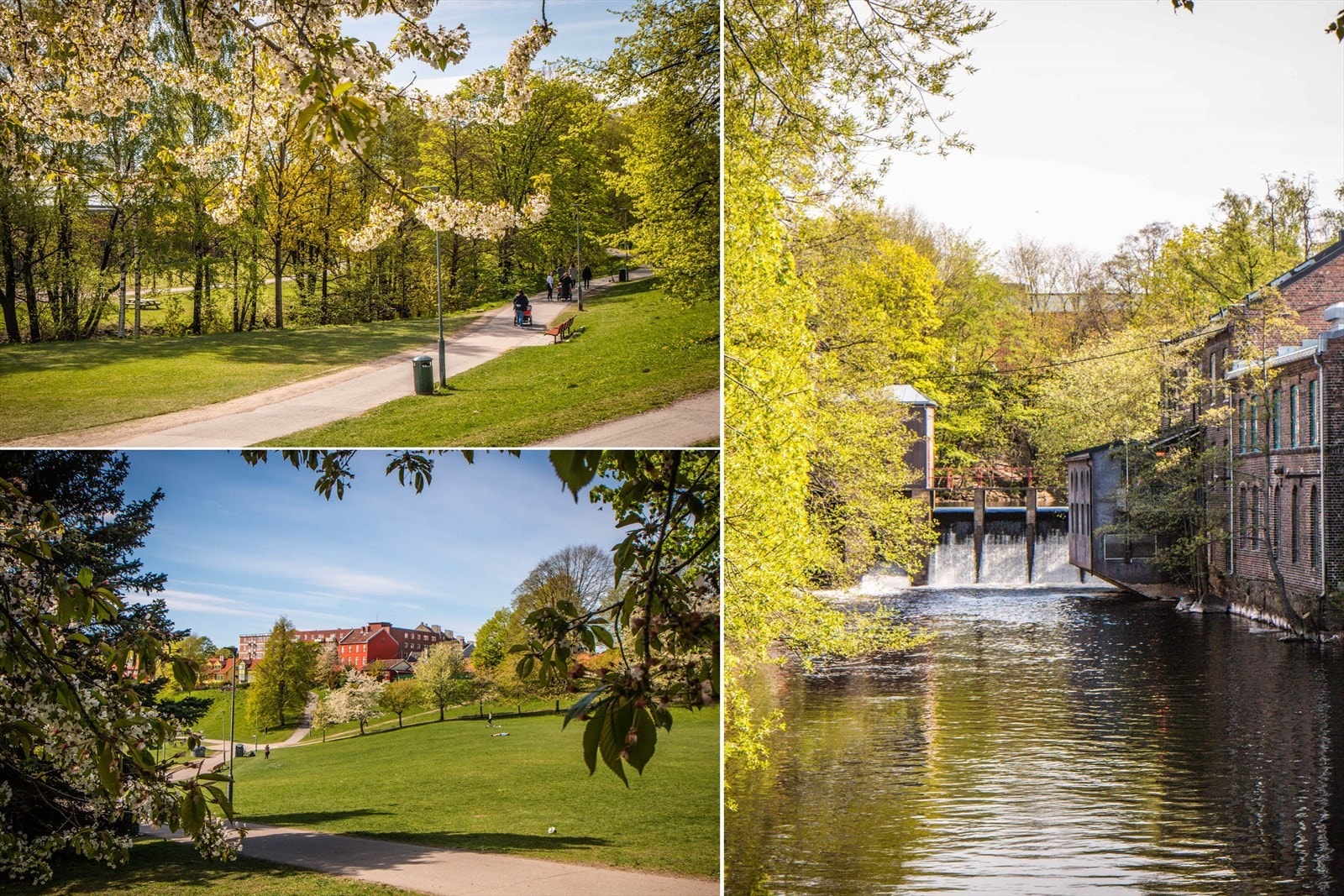 Langs Akerselva er det varierte og veldige fine turmuligheter. Galleribilde