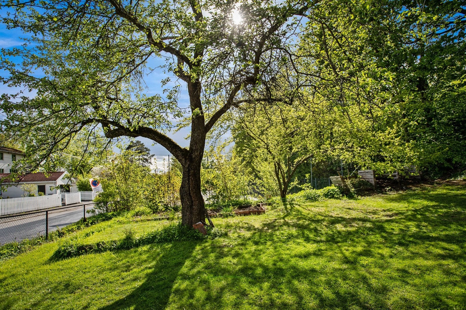 Parsellhage. Galleribilde