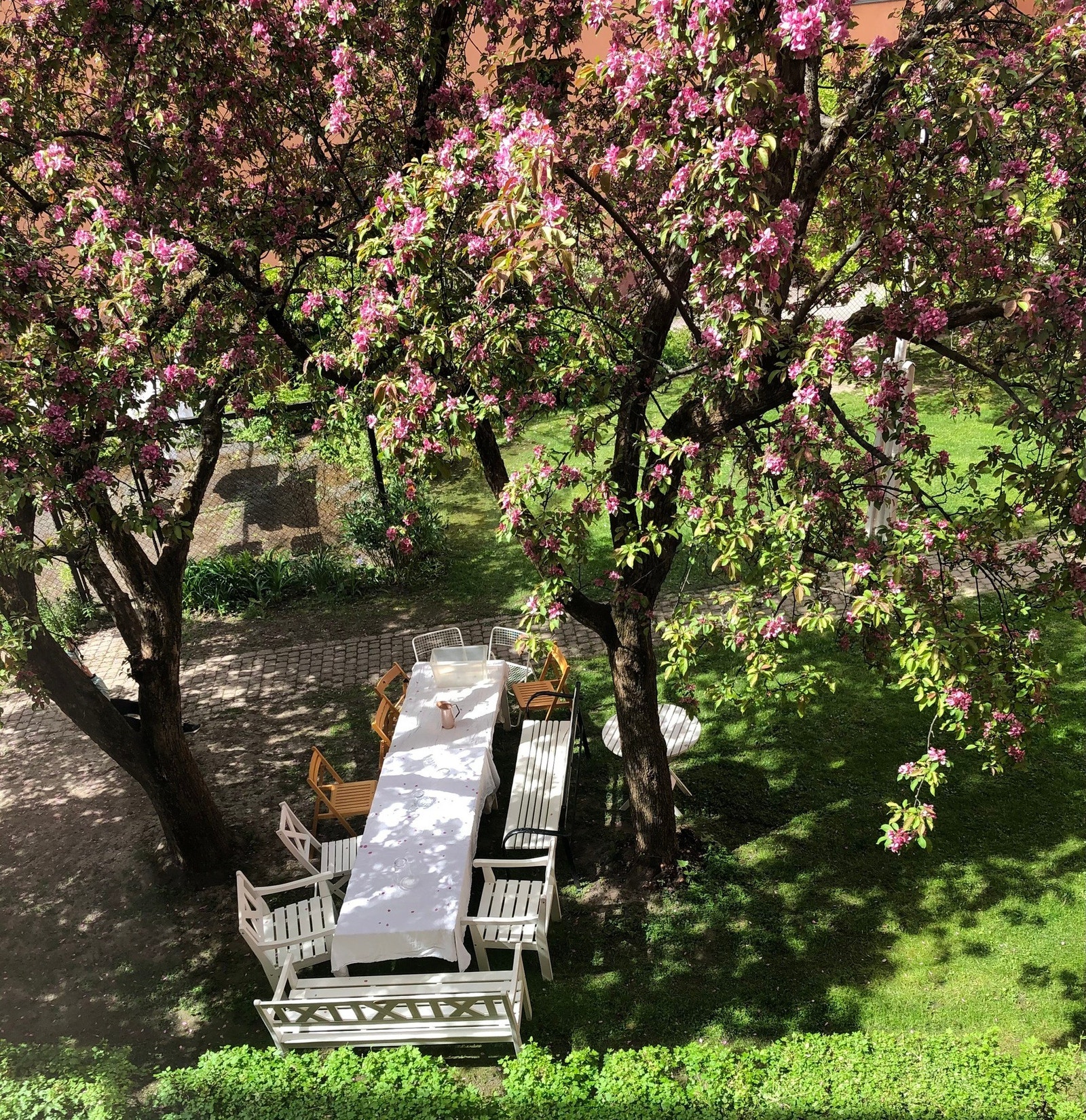 De to bakgårdene er et viktig
bidrag til det gode miljøet i borettslaget, og er et naturlig samlingssted for
beboerne. Her finner du store grøntarealer, eple- og plommetrær. Galleribilde