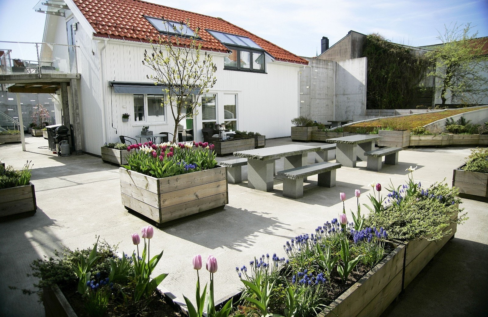 Maistemning i pent opparbeidet bakgård med bord og benker Galleribilde