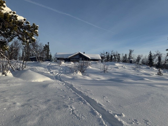 Vinterbilde tatt av selger 14.02.2026 Galleribilde