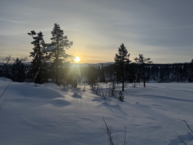 Vinterbilde tatt av selger 14.02.2026 Galleribilde