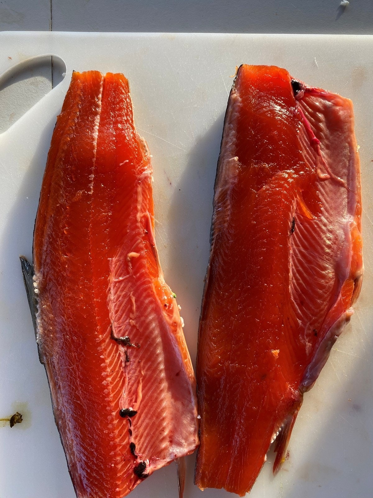 Sommerbilde tatt av selger - Røye fra Busuvannet, ca. 4 km. fra hytten. Galleribilde