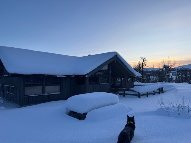 Vinterbilde tatt av selger 14.02.2026 Galleribilde