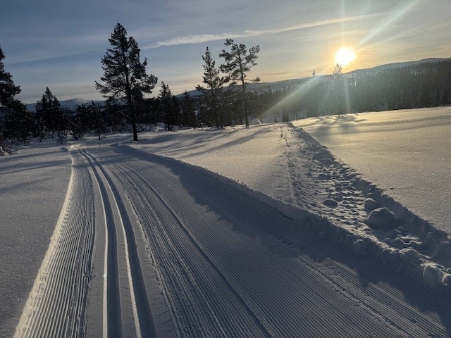 Vinterbilde tatt av selger 14.02.2026 Galleribilde