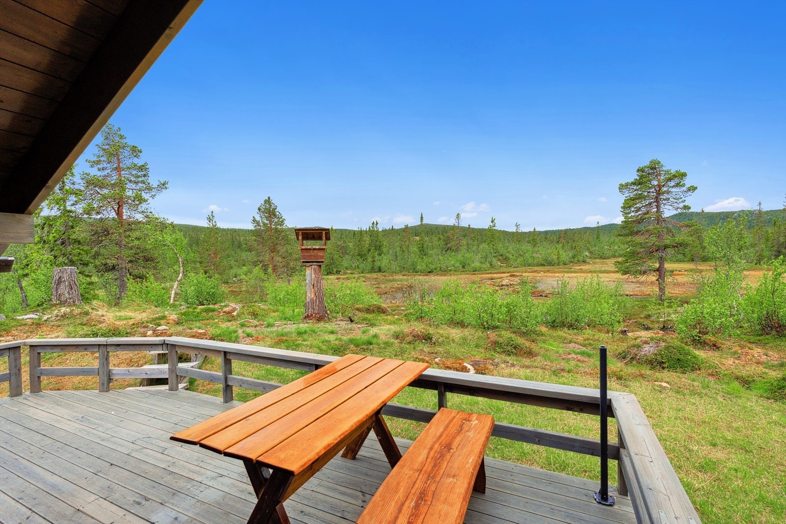 Stor naturtomt omkranset av skog og mark - her nyter du stillhet, fuglesang og frisk luft året rundt. Galleribilde