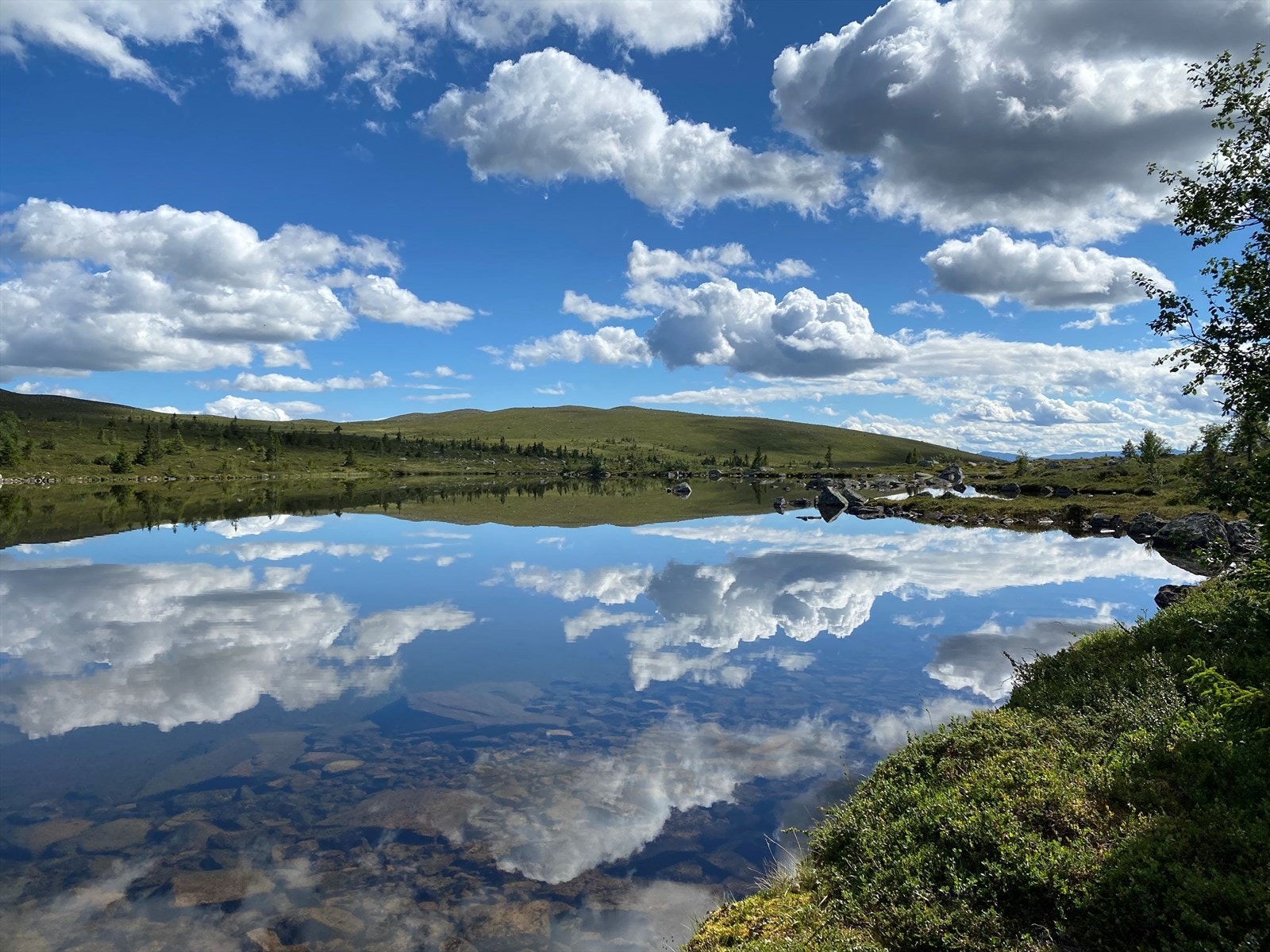 Sommerbilde tatt av selger - Nedre Trevatnet. Ca. 4 km fra hytten. Galleribilde