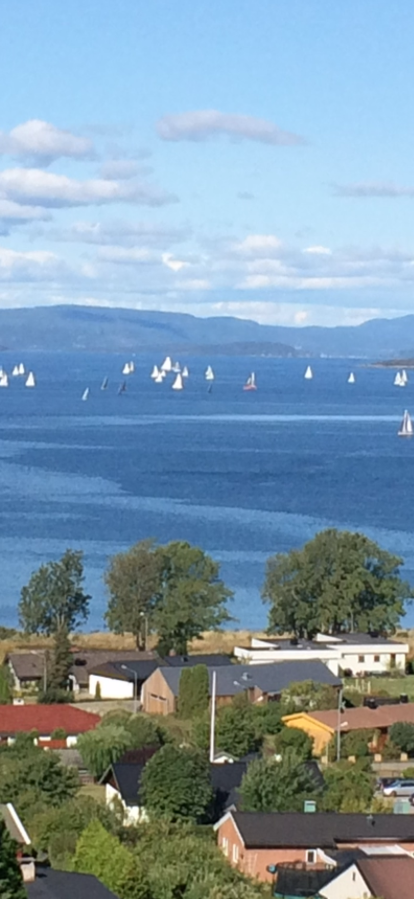 Selgers private bilde Galleribilde