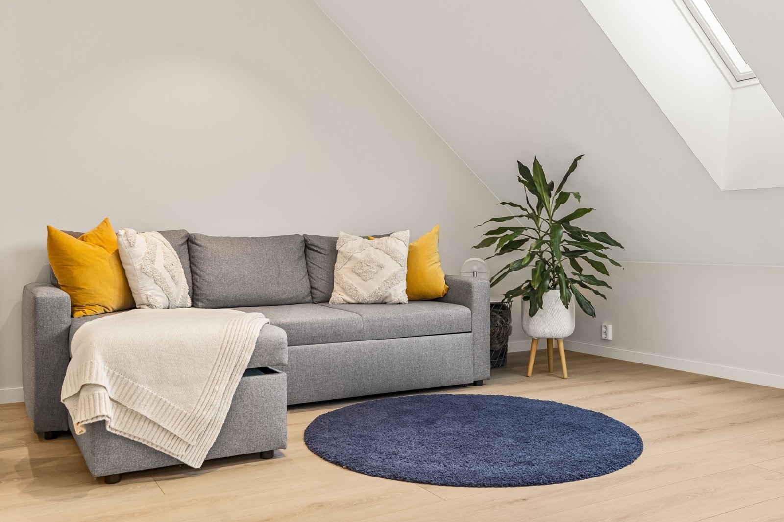 Et lyst og anvendelig rom med flere bruksmuligheter. Galleribilde