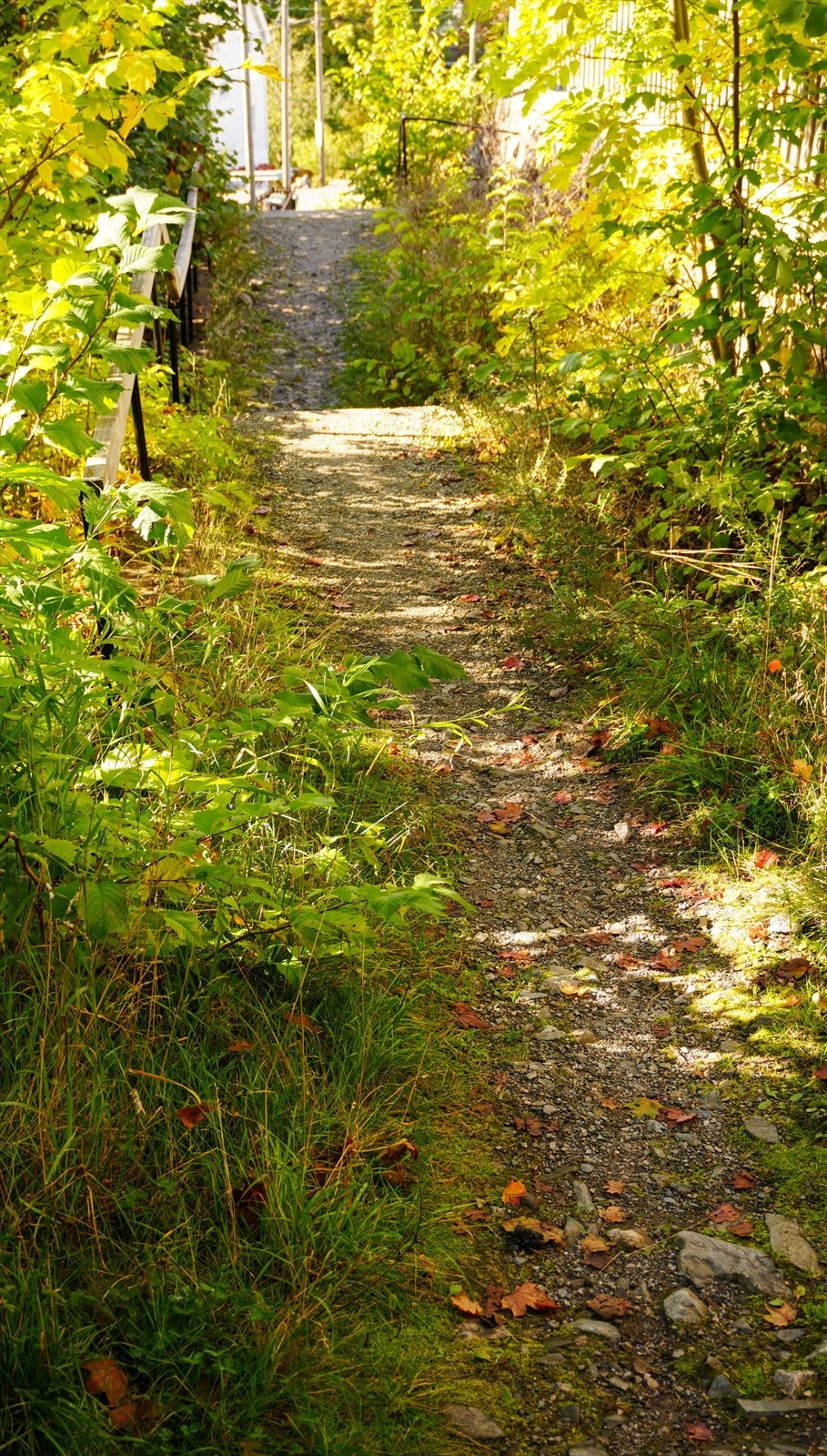 Selgers bilde - Gangsti til Kværnerbyen Galleribilde