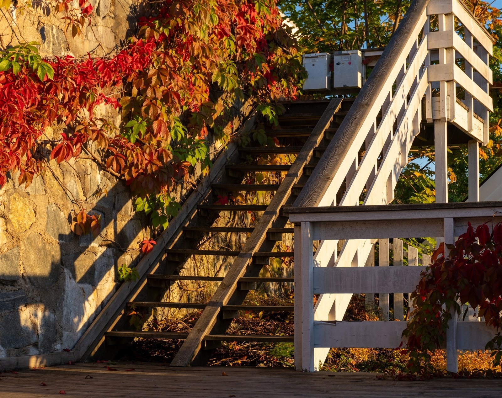 Selgers bilde - Trapp fra Gabbi Lunds vei Galleribilde