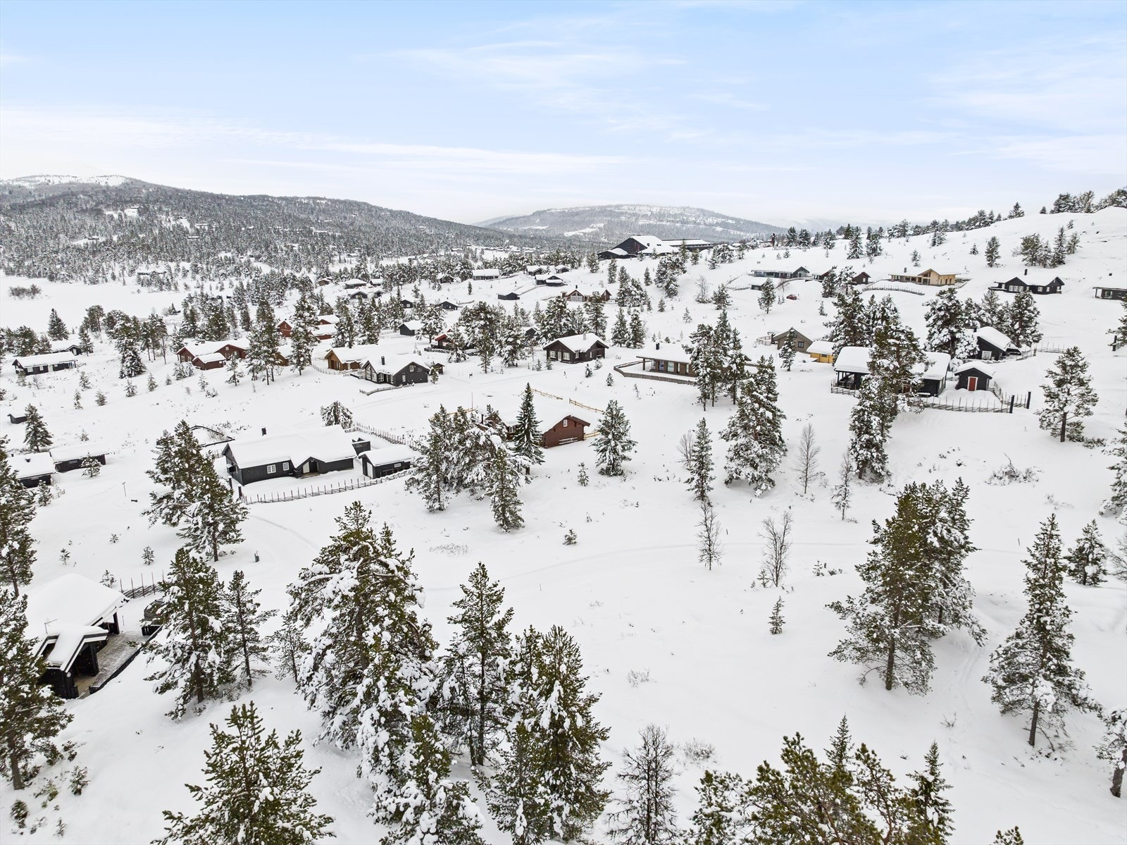 Minst 50 % av tomten skal bevares som naturmark og være helt inngrepsfri. Galleribilde