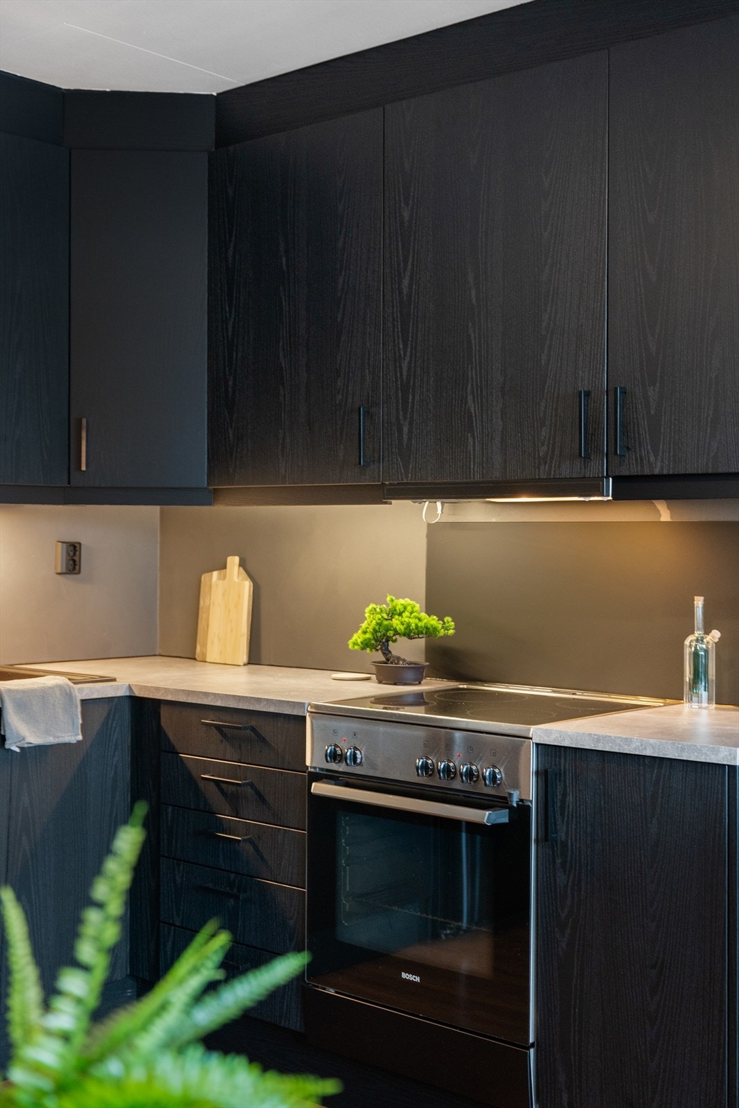 Mørke fronter gir et stilrent uttrykk. Galleribilde