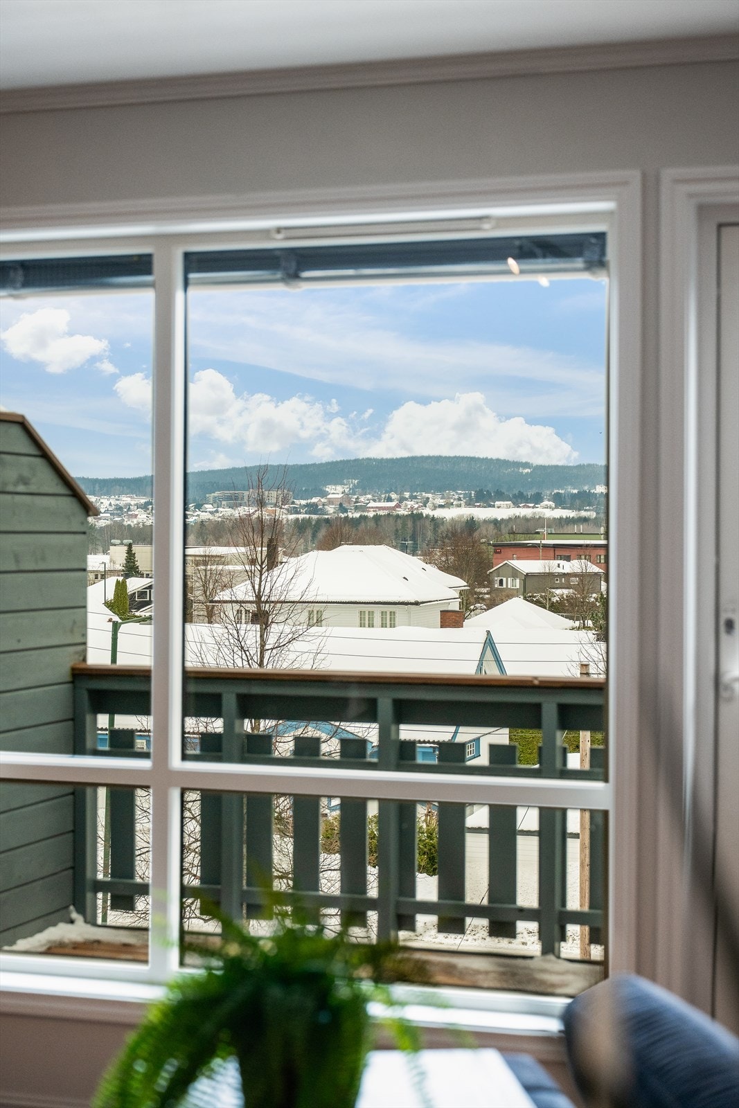 Store vindusflater gir utsikt mot nærområdet og slipper inn naturlig lys. Galleribilde