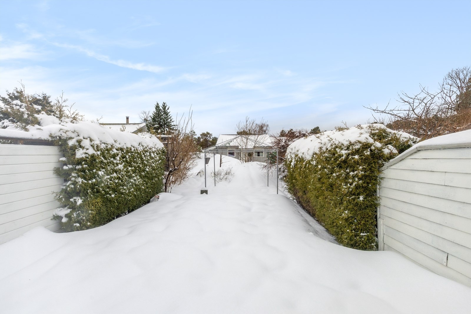 Koselig og skjermet uteplass med levegg mot naboer Galleribilde