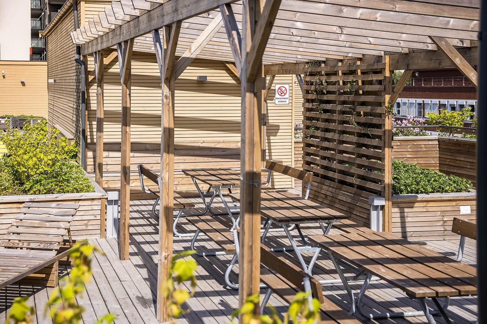 Gode sol og utsiktsforhold. Galleribilde