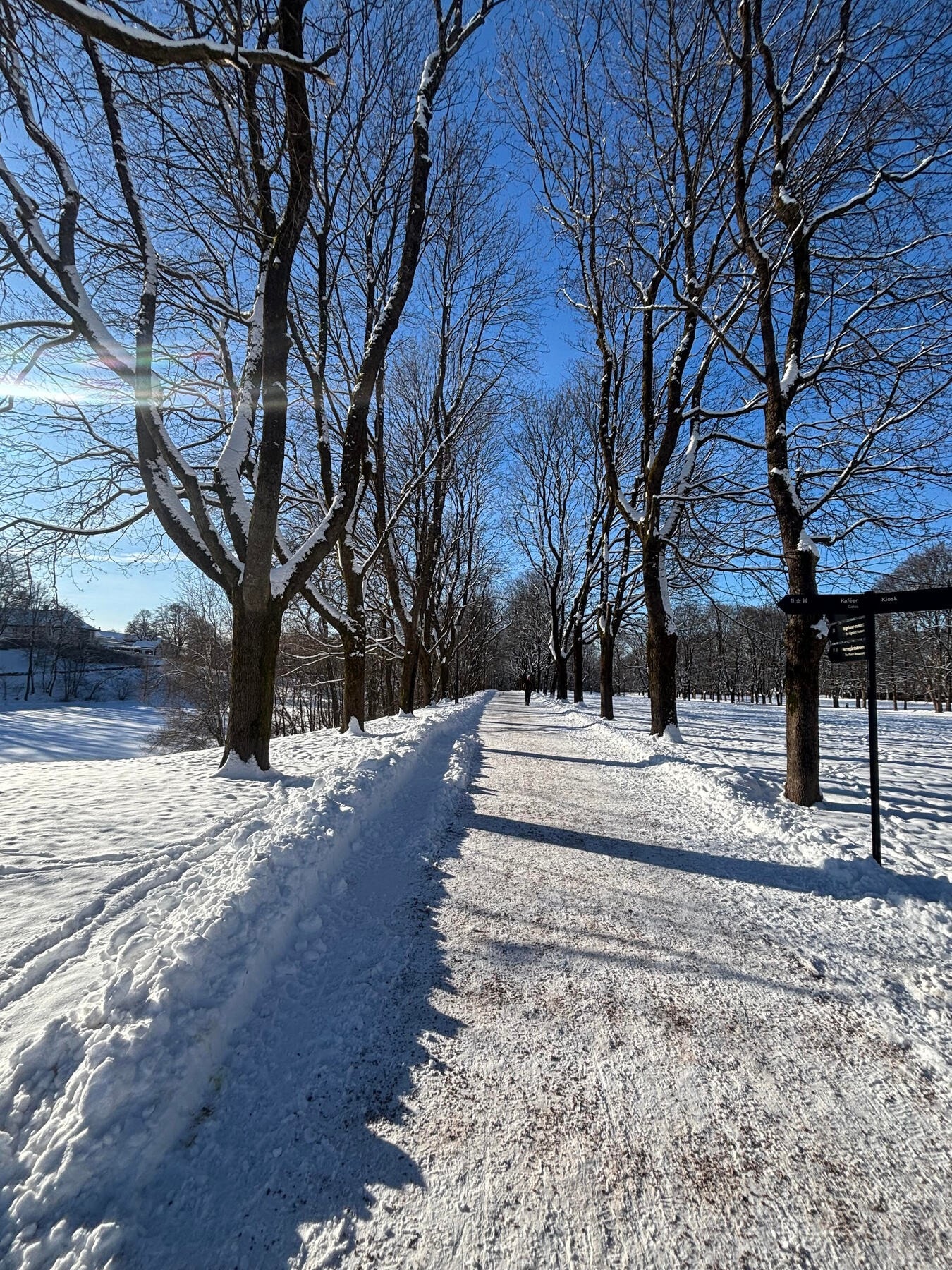 Frognerparken Galleribilde