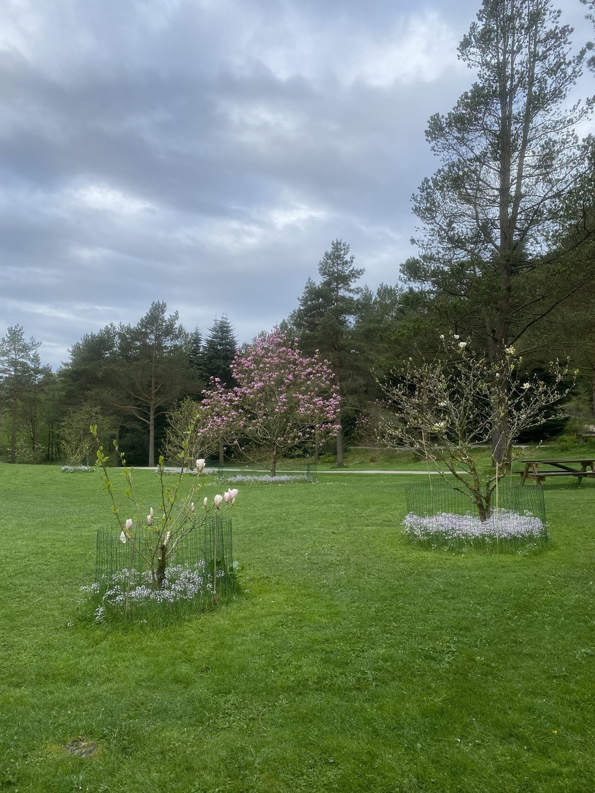 Den botaniske hagen Arboret - Et nydelig sted for tur og trening. Selger private bilde. Galleribilde