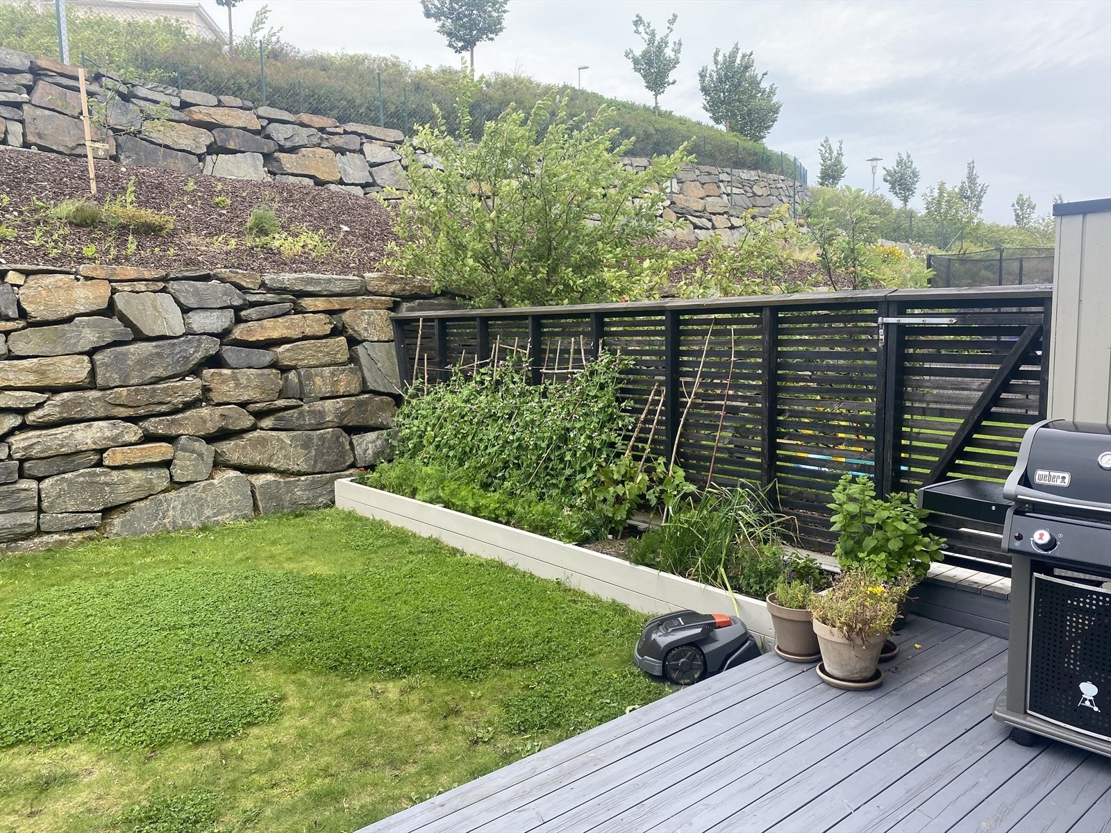 Plantekassene gir rom for å dyrke egne vekster på sommerstid. Selgers private bilde. Galleribilde