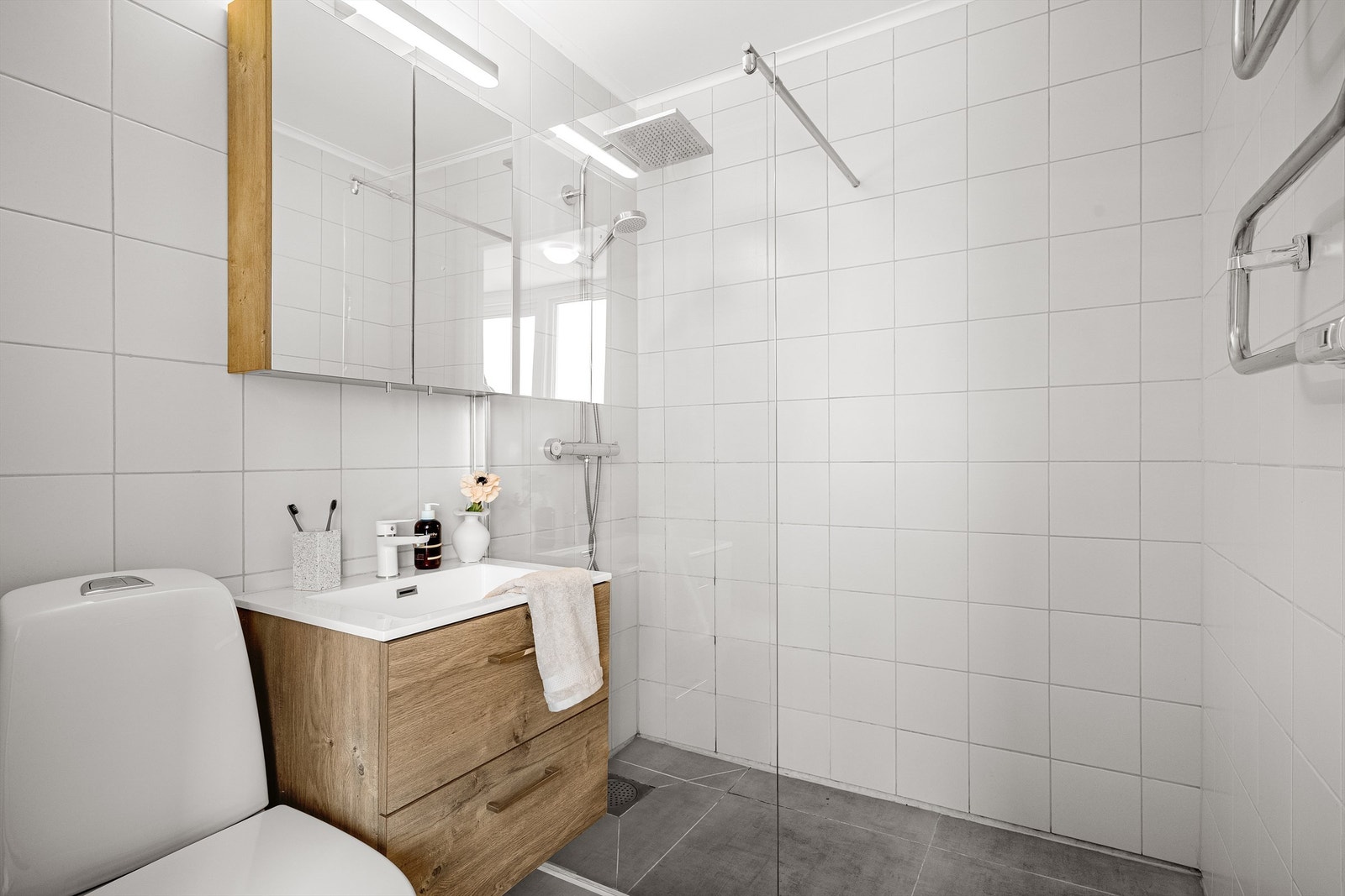 DSC01041 Galleribilde