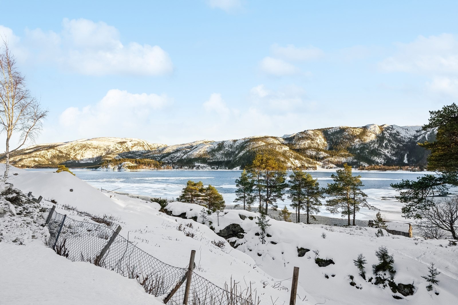 Eiendommen har en meget flott beliggenhet i et etablert boligområde på Hylla. Kort vei til skoler og barnehager. Galleribilde