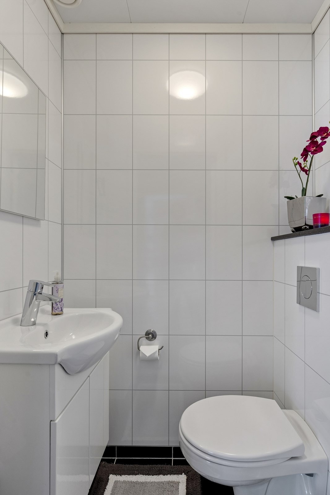 Gjestetoalett. Galleribilde