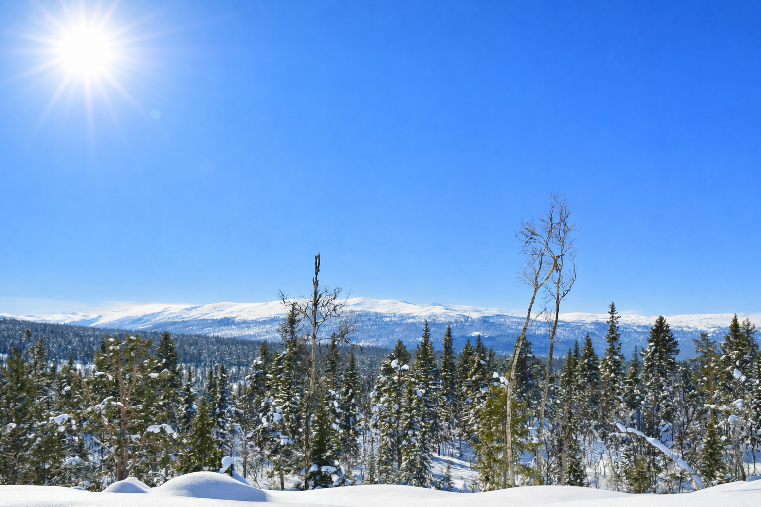 Lyseren Hyttefelt Galleribilde