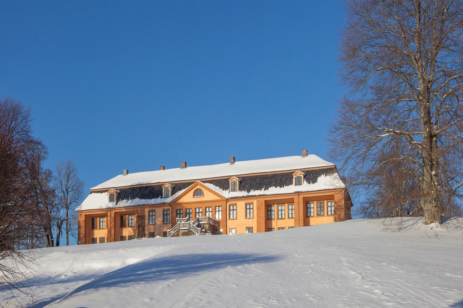 Bogstad Gård har kafé og ulike andre tilbud. Galleribilde
