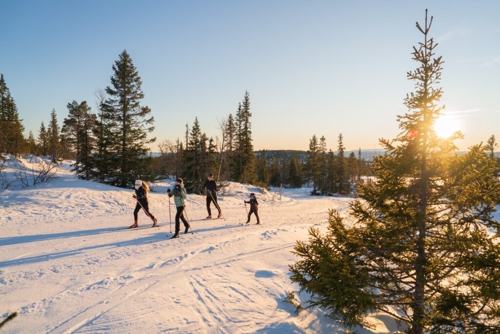 Norefjell har over 200 km preparerte langrennsløyper lang lysløype. Galleribilde