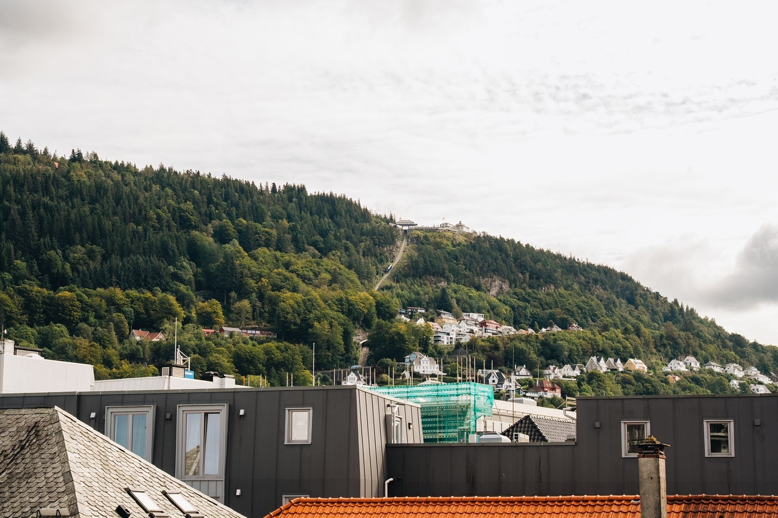 Utsikt mot Fløyen, som er et av byens mest populære turområder. Galleribilde