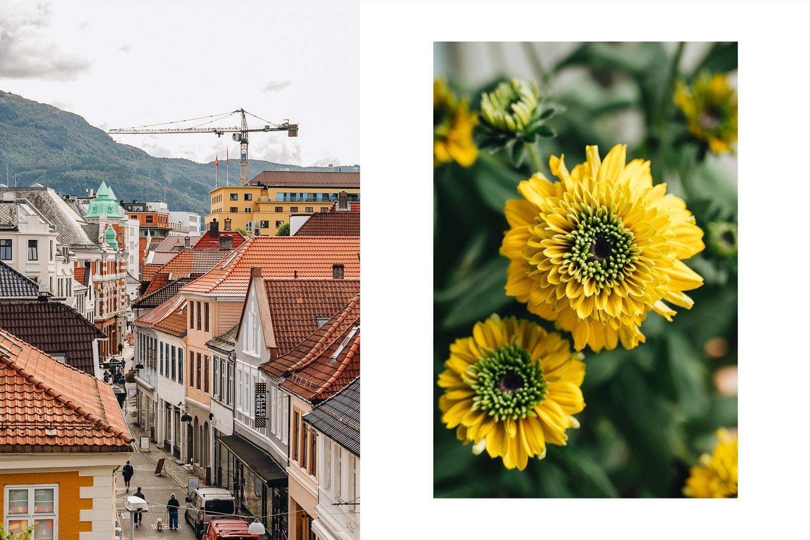 Utsikt ned til gågaten. Galleribilde