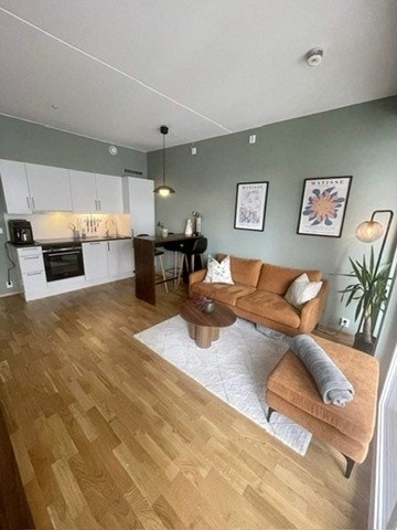 Stue/kjøkken Galleribilde