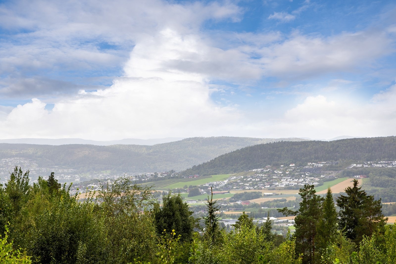 Leiligheten ligger i Utsikten sameie, høyt oppe på Reistad, med panoramautsikt og gode solforhold Galleribilde