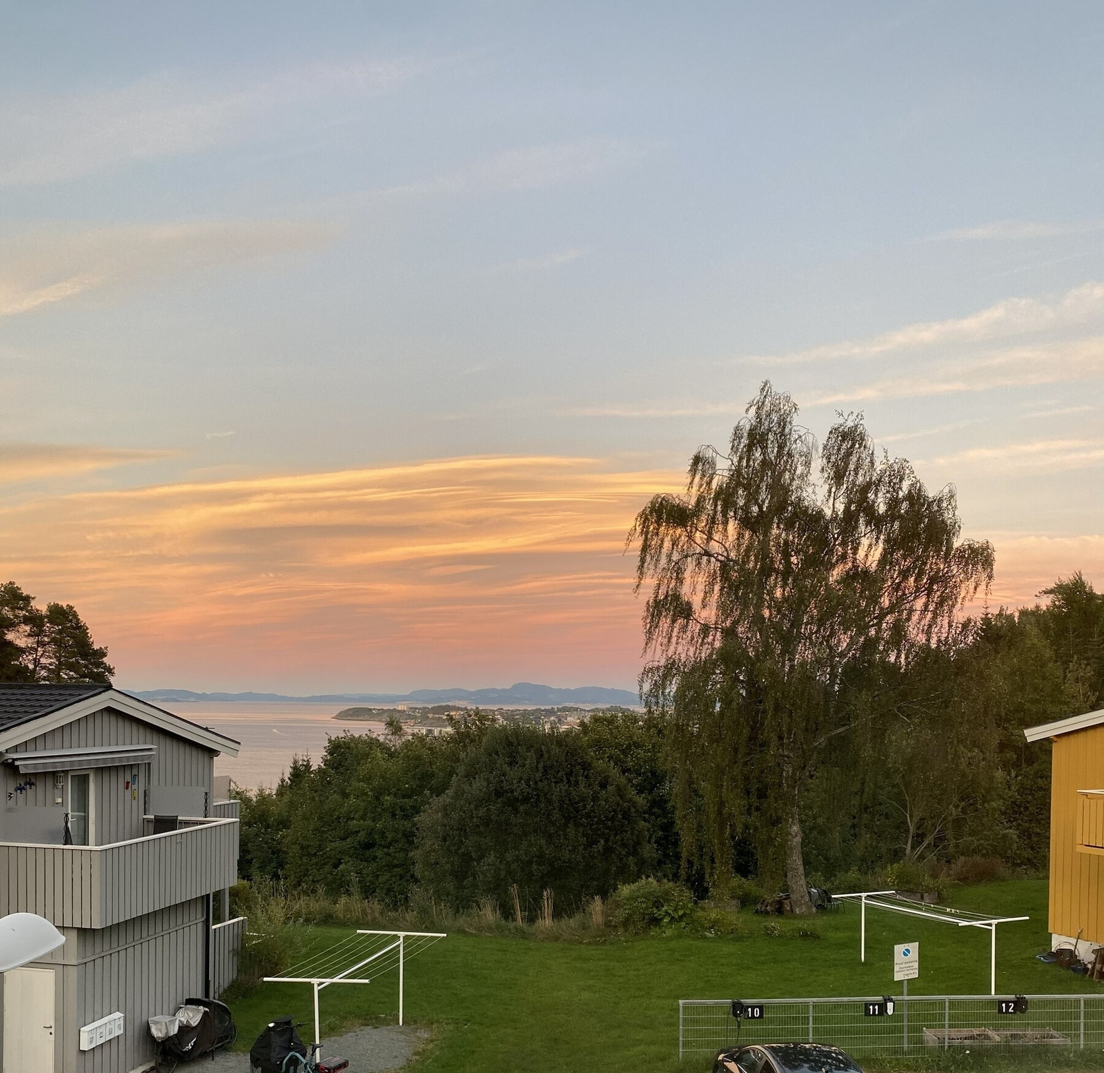 Selgers bilde. Galleribilde