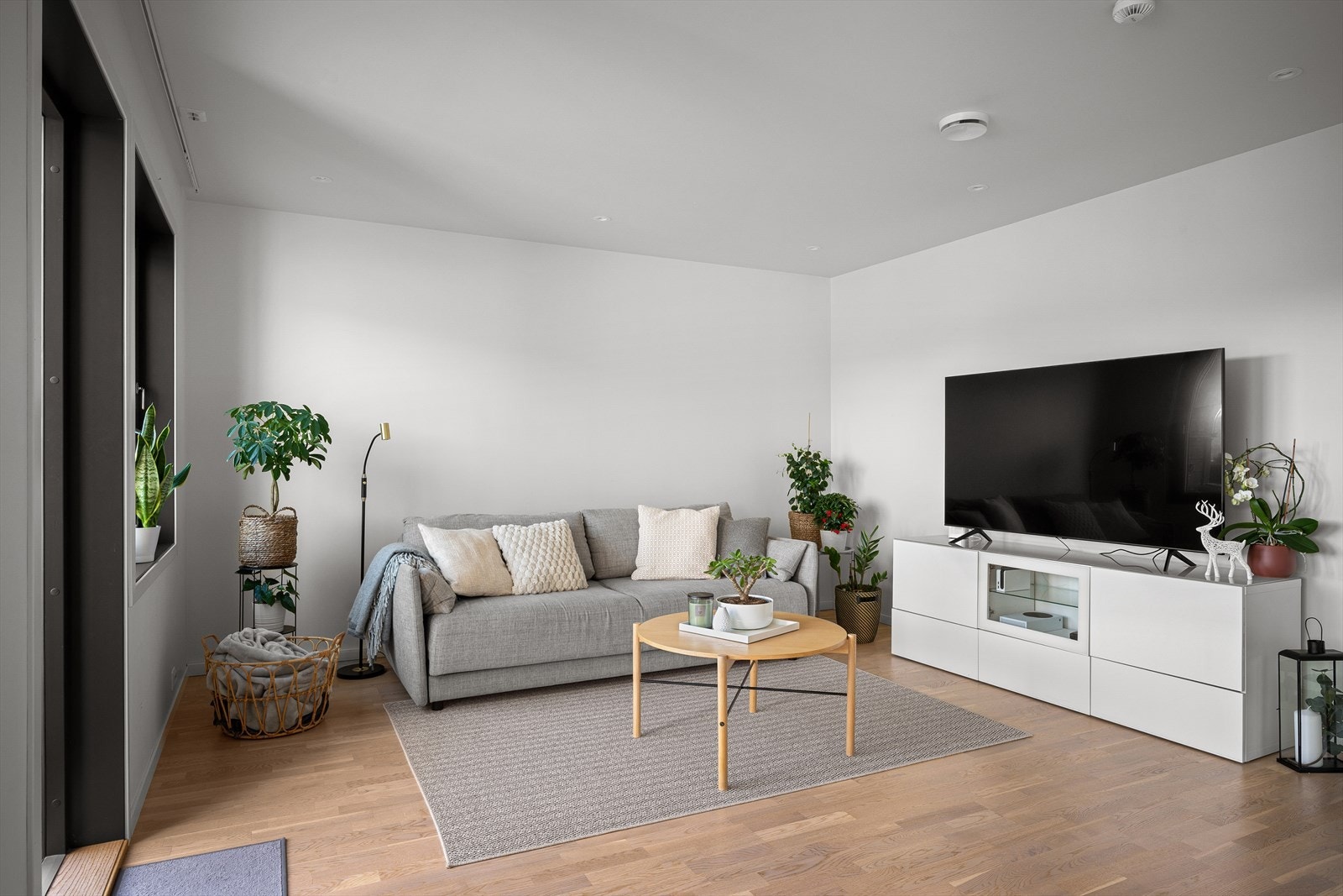 Stue / Kjøkken Galleribilde