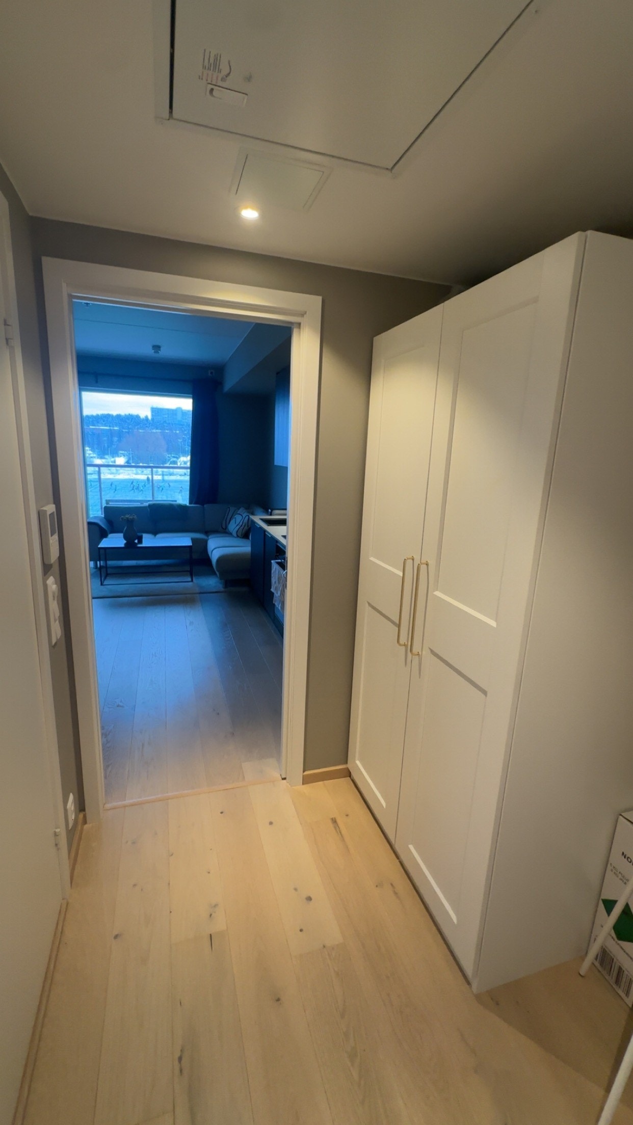 Inngangsparti med garderobe, hvor du kan se stuen Galleribilde