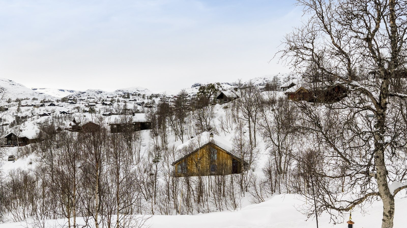 Fra hytten er det gangavstand til alpinanlegget på Vågslid, som har hele 13 preparerte skiløyper og 6 skitrekk samt eget barnetrekk/band. Anlegget har varmestue med afterski og sportsbutikk. Galleribilde
