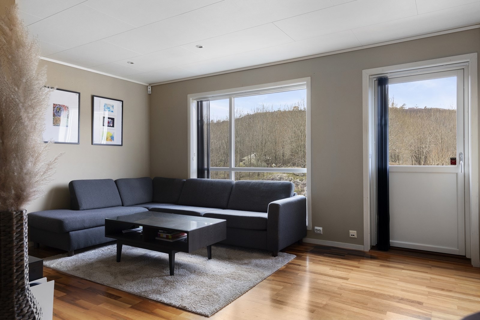 Fin sofakrok i stue og utgang til solrik balkong. Galleribilde