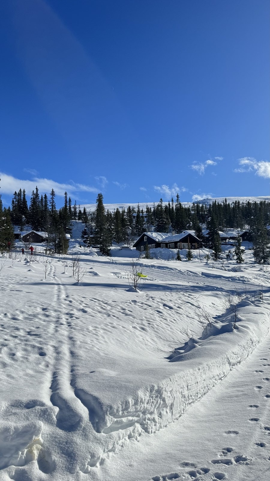 IMG_5030.jpeg Galleribilde