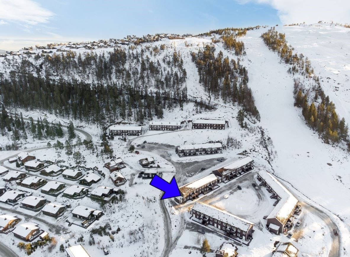Bjønndalsveien 11D ligger like ved skisenteret på Gautefall - med ski in/out! Galleribilde
