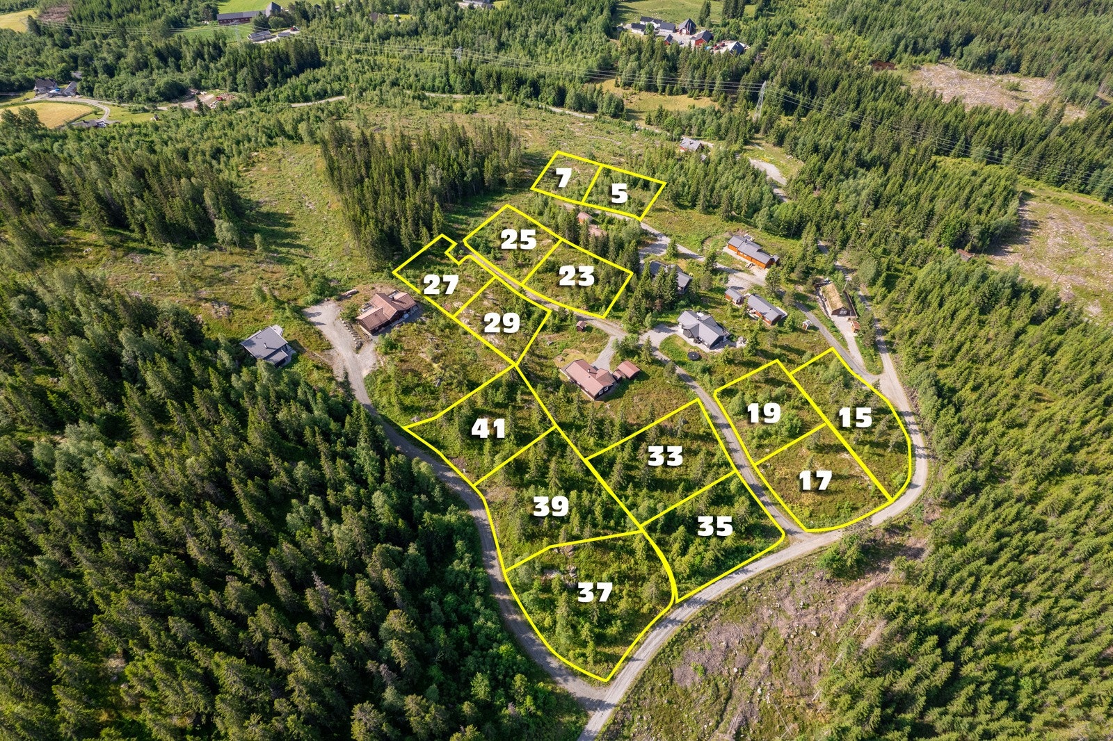 Velkommen til Ospekollen! Galleribilde