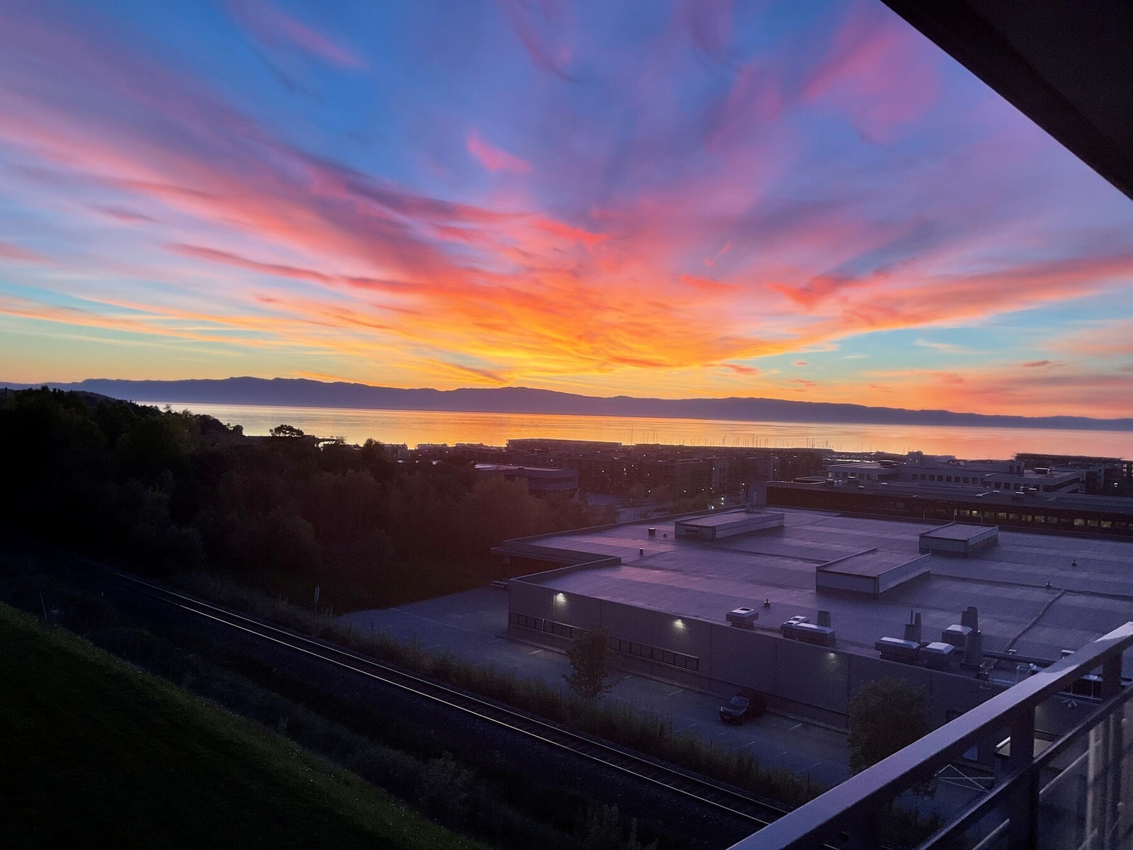 Selgers bilde. Galleribilde