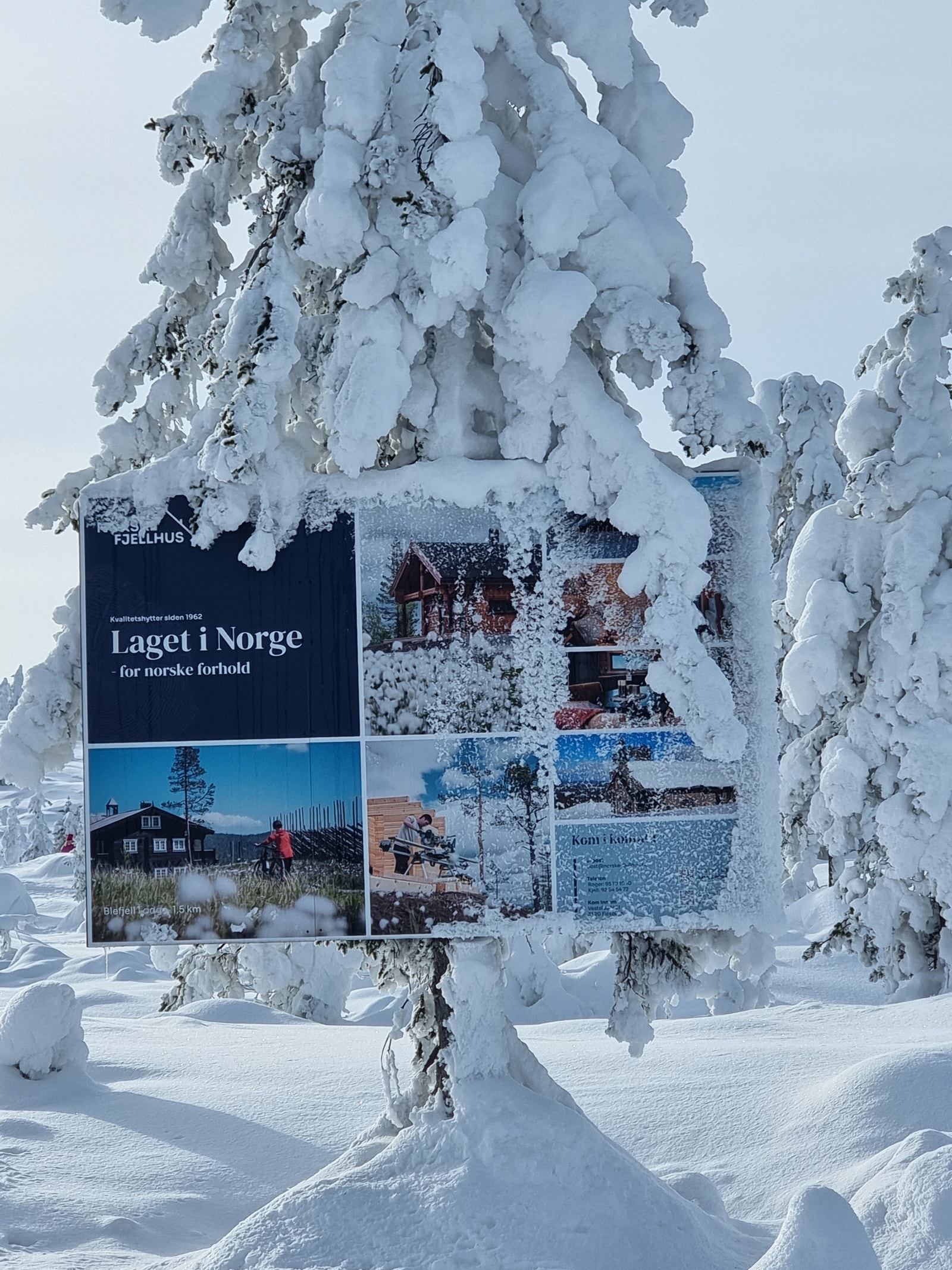 Norske Fjellhus har bestått side 1962 Galleribilde