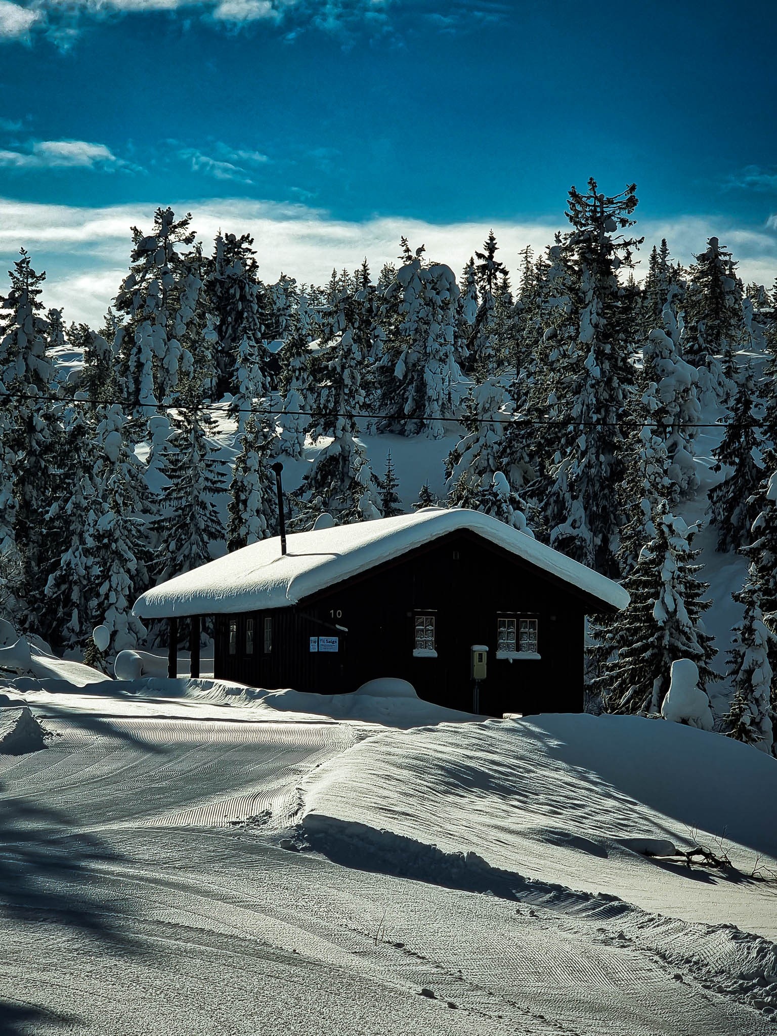 Det er skiløyper like ved hytta og veg helt frem. Galleribilde