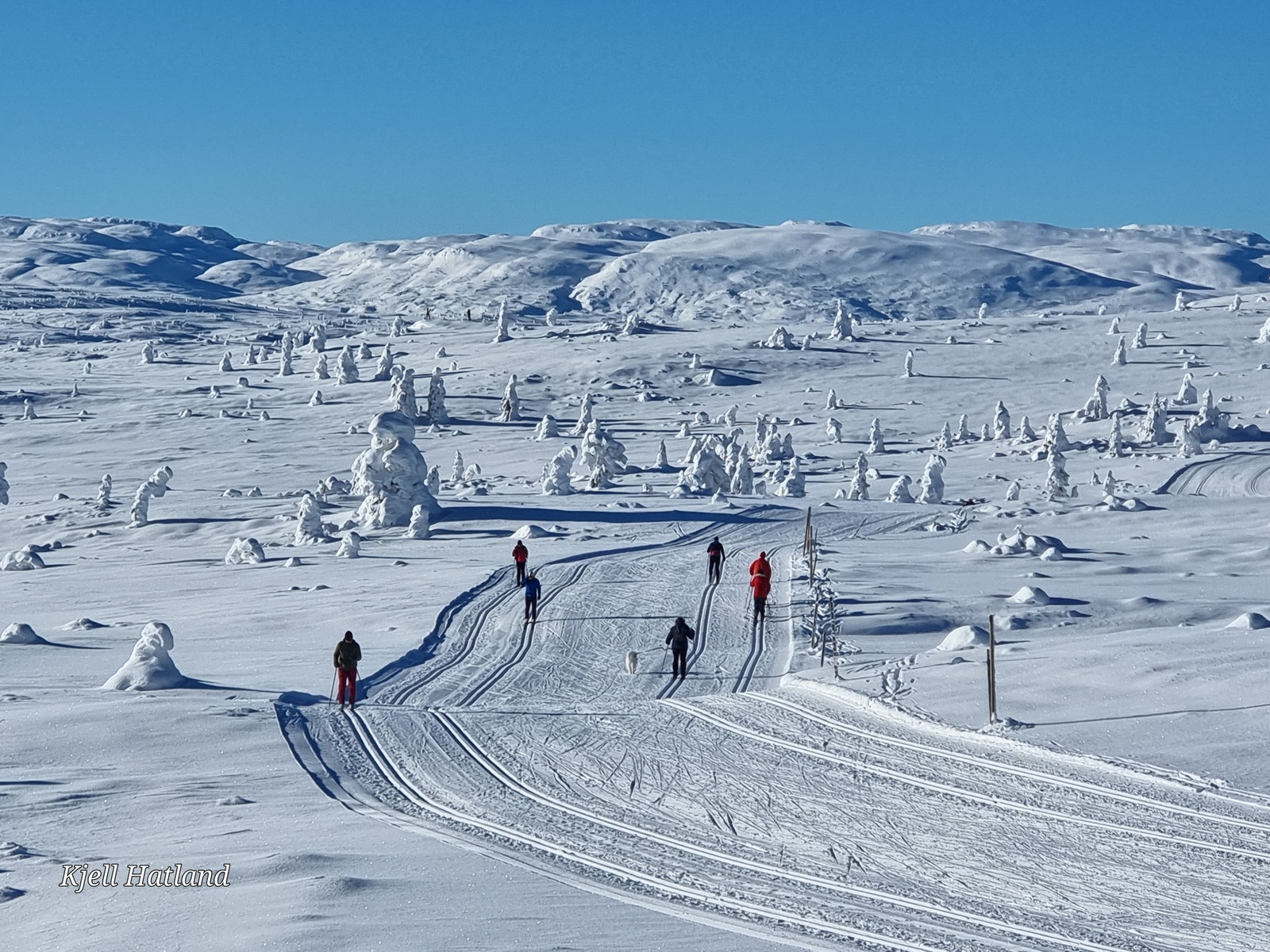 Blefjell med sine fanatiske løyper Galleribilde