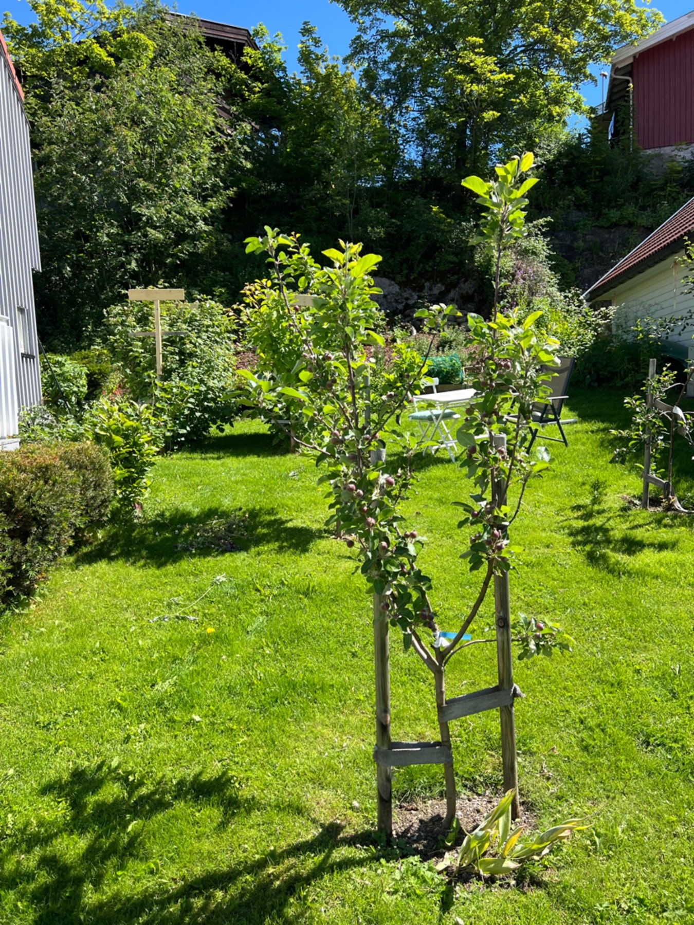 Foto: Selger. Galleribilde