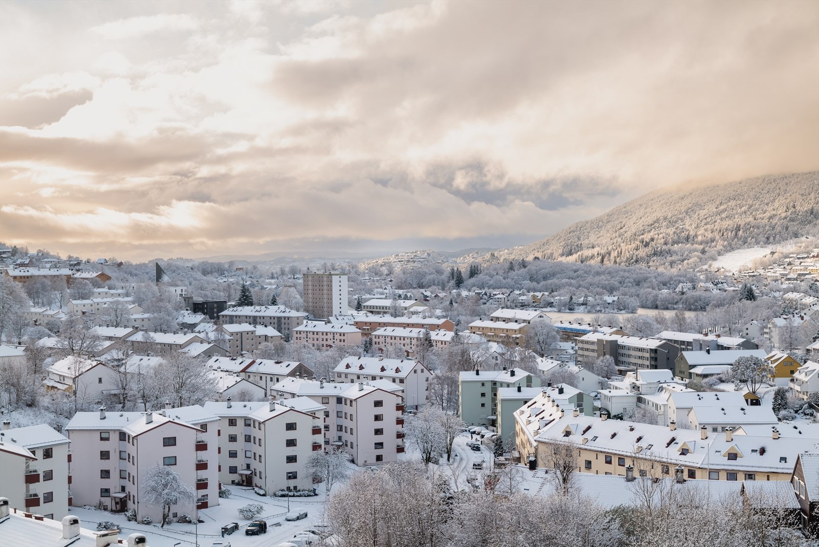 Utsikt sørover Galleribilde